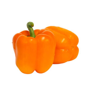 bright orange bell peppers with glossy smooth skin and blocky four-lobed shape on a white background.