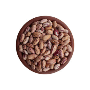 Pinto Beans