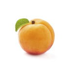 Apricot