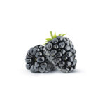 Black Berry