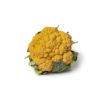 Cauliflower Large Orange