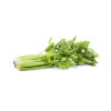 Celery 55LB