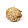 Celery Root