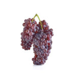 Champagne Grape