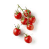 Cherry Tomato Red