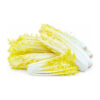 Coaraline Endive