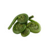 Fiddlehead