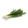 Green Onion 48CT