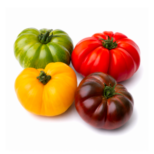 A pile of mixed Heirloom tomatoes in red, yellow, orange, green and dark purple with ridged round and oblong shapes on a white background.