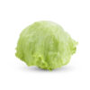 Iceberg Lettuce 24CT