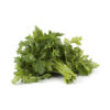 Italian Parsley