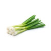 Mexican Green Onion