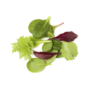Mix Whole Leaf Baby Lettuce