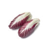 Red Endive