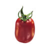 Roma Tomato 25LB