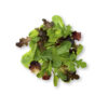 Spring Mix Salad Pack