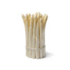 White Asparagus Holland