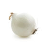 White Onion 50LB