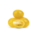 Comet Tomato