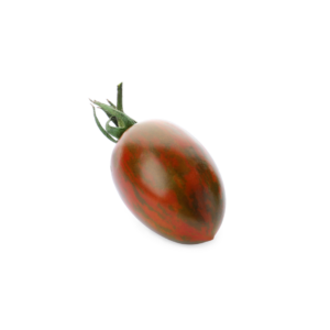 A deep burgundy-red Twilight heirloom cherry tomato with dark glossy skin and small round shape on a white background.