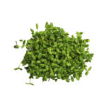 Alfalfa