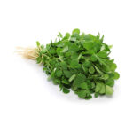Fenugreek