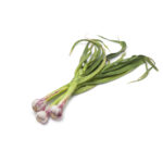 Green Garlic Bunch