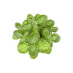 Italian Basil