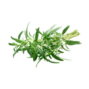 A close-up, top-down photograph of a fresh, vibrant green bunch of savory herb sprigs on a clean white background.