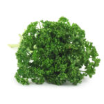 American Parsley