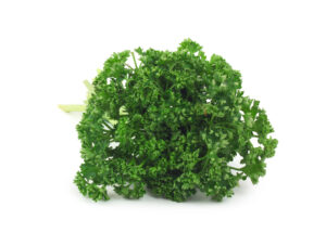 American Parsley