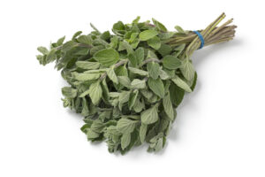 Oregano