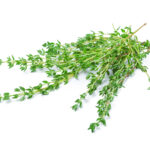 Herb