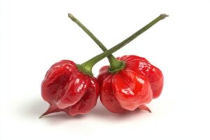 two bright red Scorpion chiles with bulbous wrinkled skin and a pointed stinger-like tail tip on a white background.