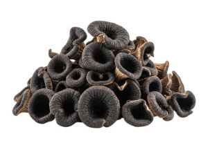 trumpet Black Dried Mushroom