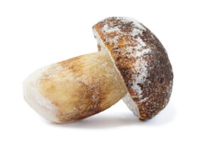 A brown Frozen Porcini Mushroom with whole cap shape and frosted IQF surface on a white background.