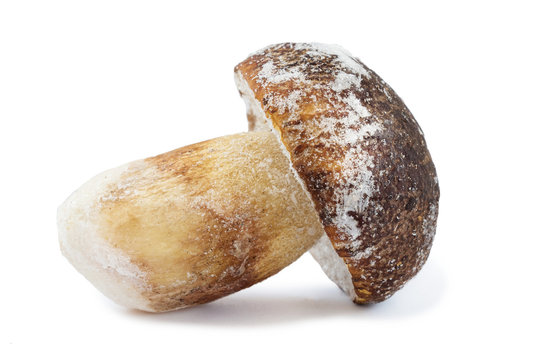 A brown Frozen Porcini Mushroom with whole cap shape and frosted IQF surface on a white background.