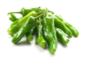A small pile of bright green Shishito peppers with thin wrinkled skin and slim finger-like shape on a white background.