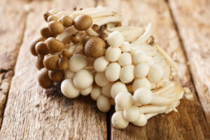 White Beech Mushroom