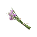 Chive Blossom