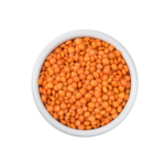 Lentil