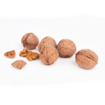 Walnut With Shell