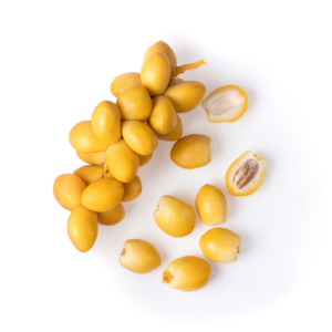 A pile of bright yellow fresh Khalal-stage dates with crisp firm skin and small tan tips on a white background.